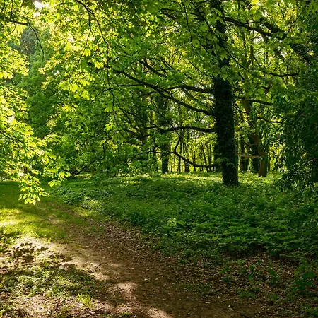 Park View - 150m Do Metra- Bezplatny Parking